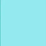 Plan de Servicii Individualizat